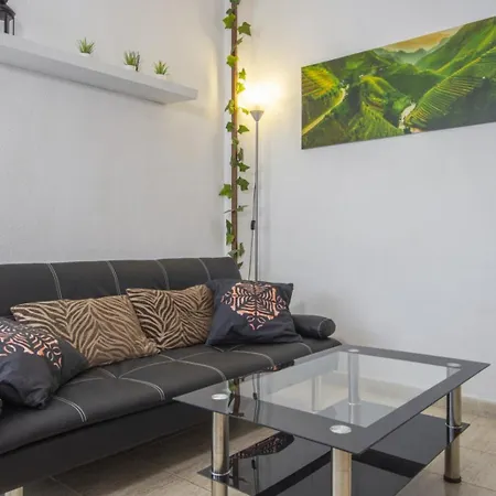 Alegria Id100 Torrevieja